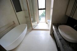 The Avenir (D9), Condominium #458746471